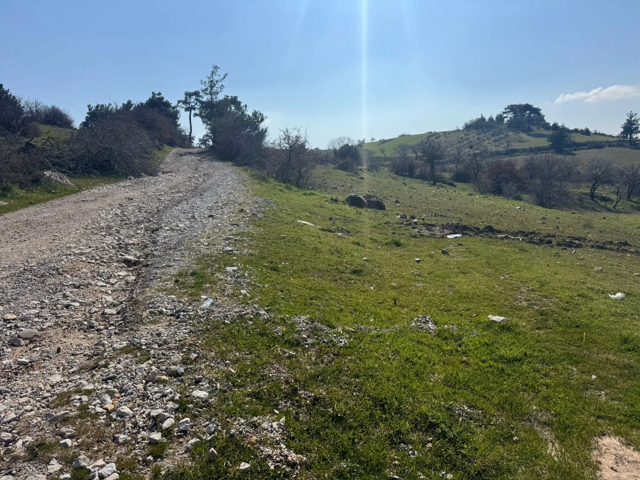 TURPA ARXESTEN İZMİR KINIK'TA FIRSAT! YOL KENARI SATILIK KELEPİR TARLA 2350 M2