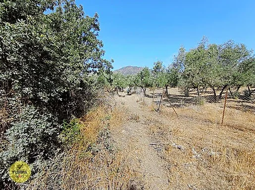 Turpa Arxesten Kiratli mahallesinde arsa Satilik