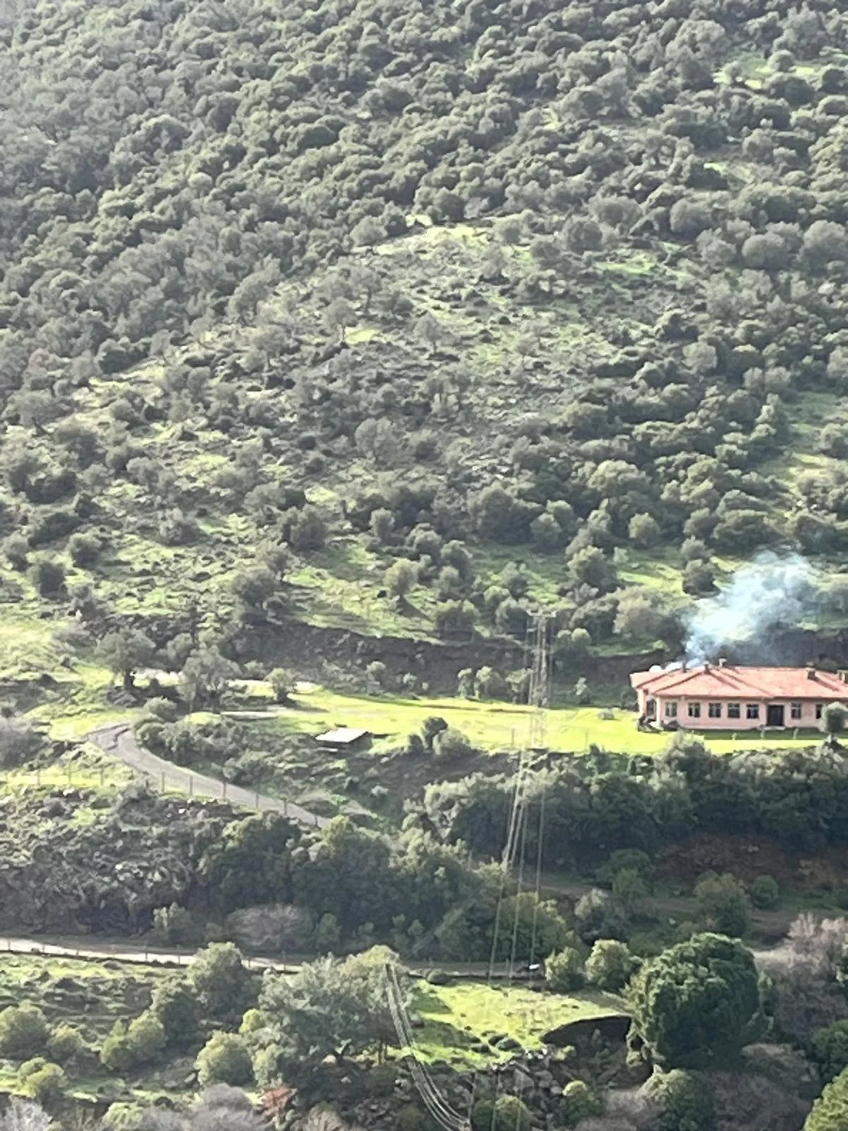 Turpa Arxesten Ayvalık Üçkabağaç Mahallesinde Satılık Zeytinlik