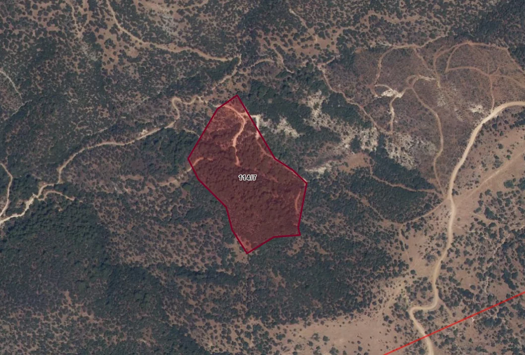 Turpa Arxesten Dikili Kıratlı Köyünde Satılık Tarla