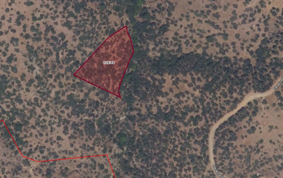 Turpa Arxesten Kıratlı Mahallesinde Zeytinli Tarla Satılıktır